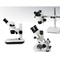 De ononderbroken Optische Lichte Microscoop van Ploidy 4.5x met Microscooptoebehoren