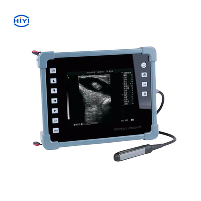 HiYi Veterinaire Ultrasound CHY8 Professionele Digitale B-Ultrasound Diagnostisch Instrument Voor Runder Geit Varken Paard Hond